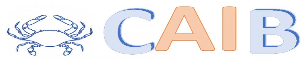 CAIB Logo